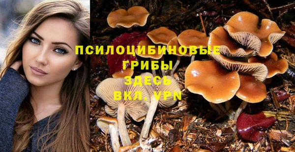гидропоника Алексеевка
