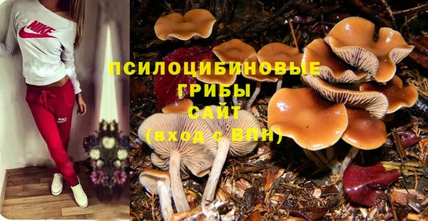соль курить ск Алзамай
