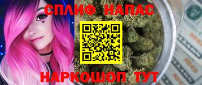 молекула духа Гатчина