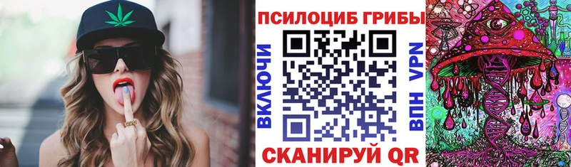 Псилоцибиновые грибы Cubensis  blacksprut ссылка  Кандалакша 