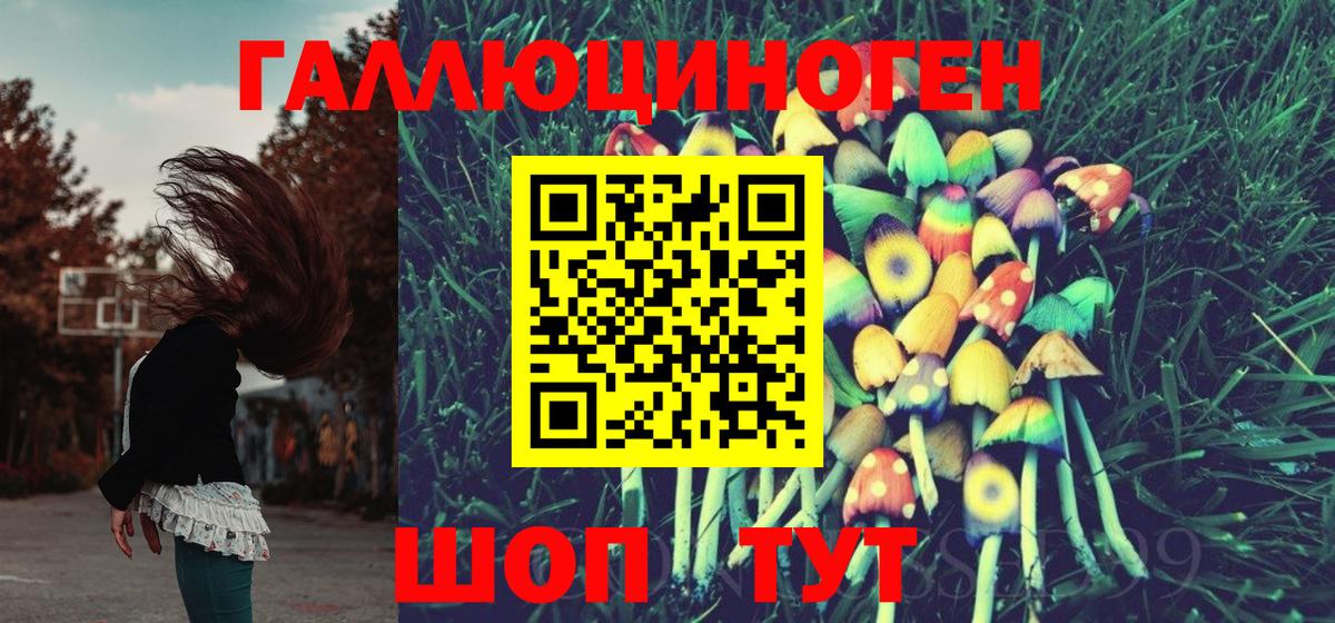 Галлюциногенные грибы прущие грибы Кандалакша