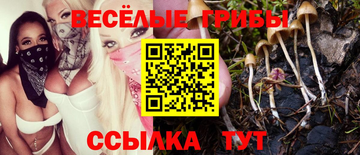 Галлюциногенные грибы Magic Shrooms  Вход с VPN  Кандалакша  Галлюциногенные грибы Magic Shrooms 